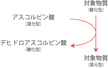 酸化、還元、アンチエイジング、卵子の老化